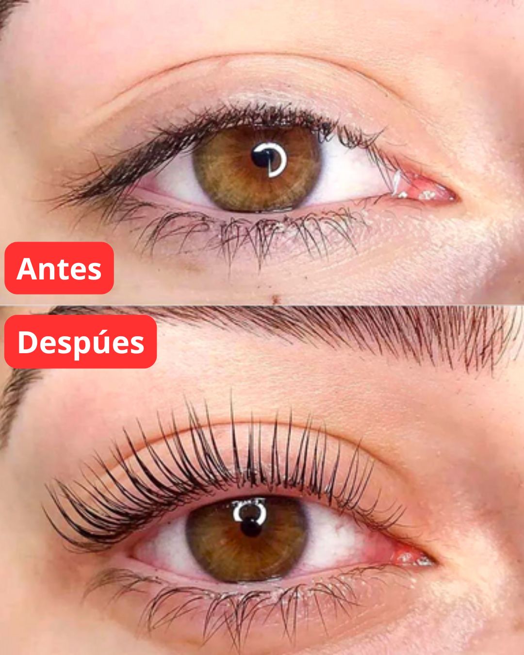 Pack 2x1 SOLO POR HOY! Serum Pestañas