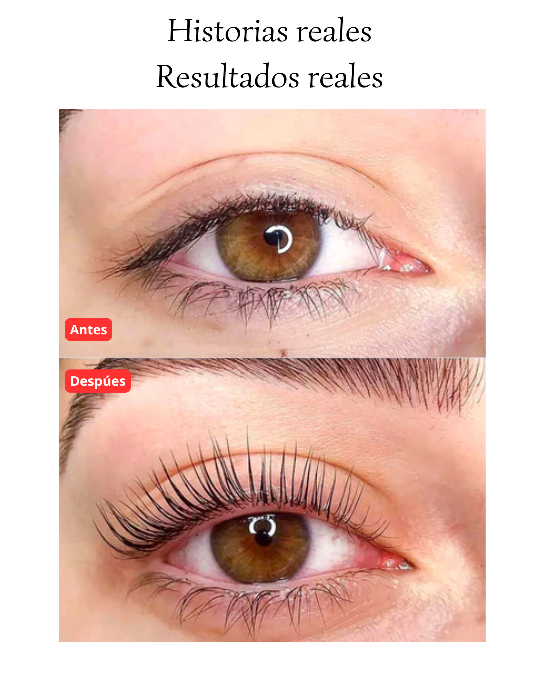 Pack 2x1 SOLO POR HOY! Serum Ceja & Pestañas